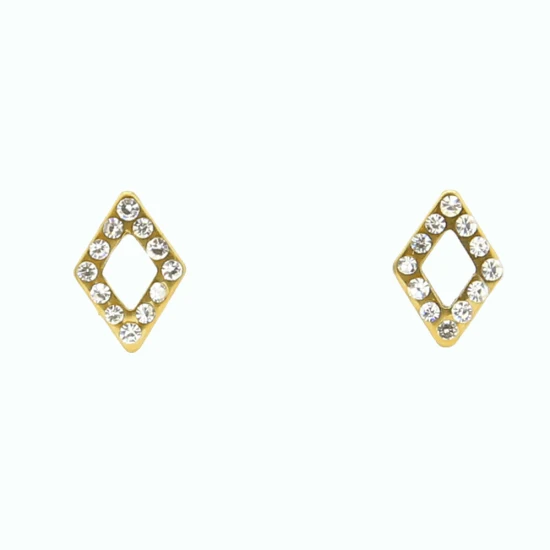 Fashion Women Trend Jewelry Stainless Steel Stud Earrings