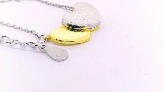 Drop Necklace with Chain and Charm Heart-to-Heart for Women